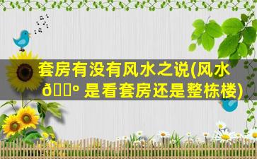 套房有没有风水之说(风水 🌺 是看套房还是整栋楼)